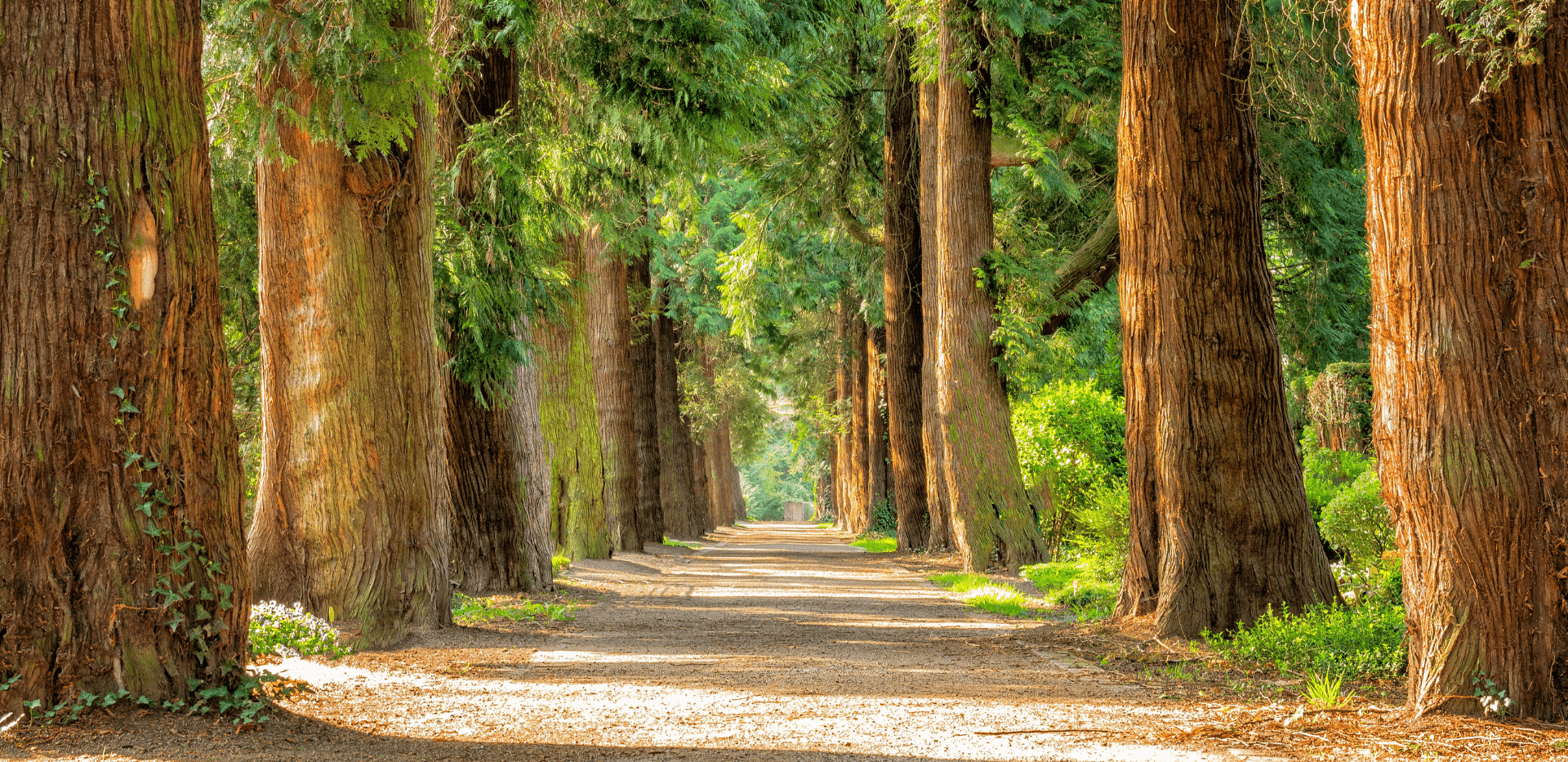 higiene medioambiental