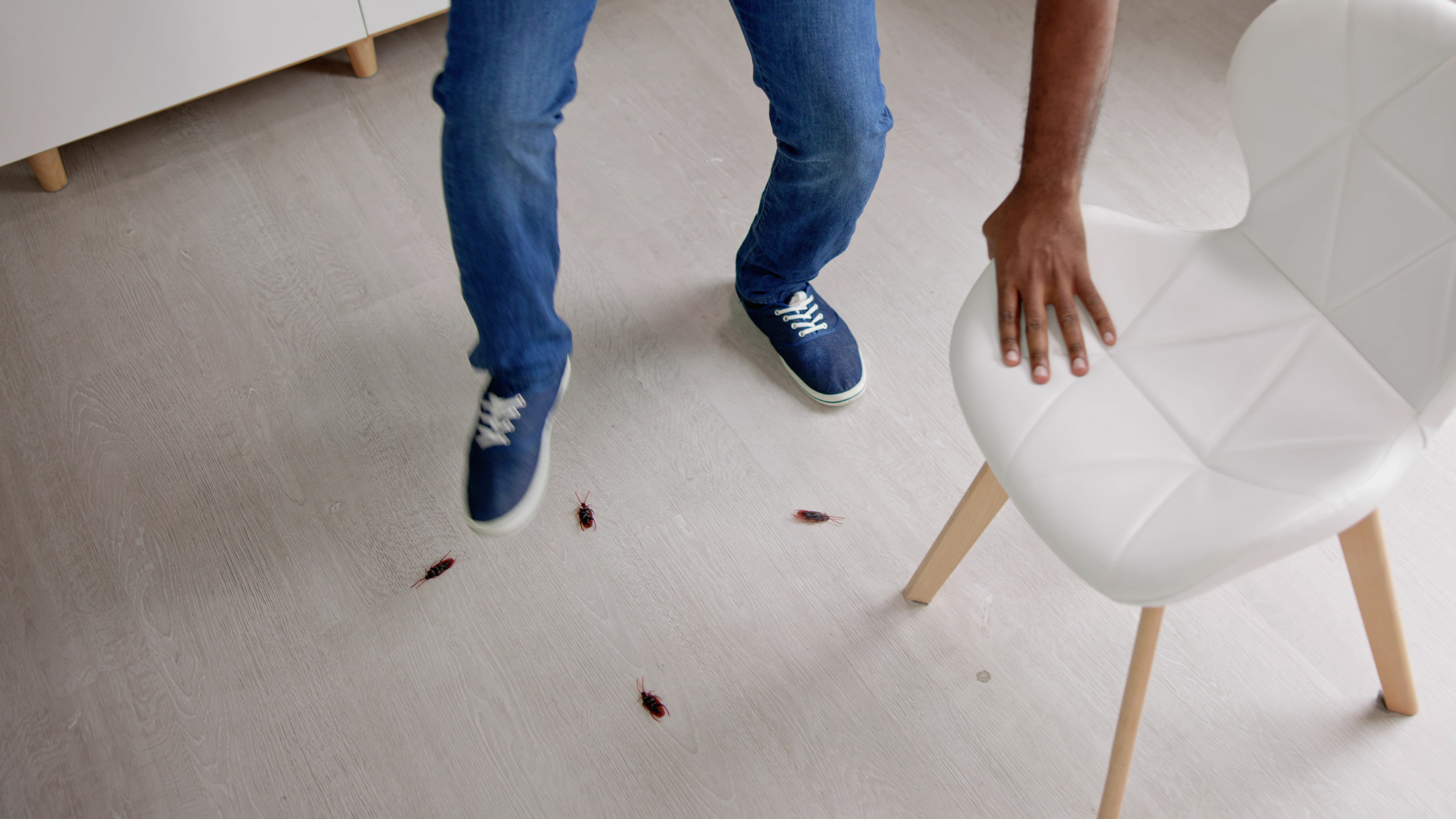 Consejos Efectivos para Controlar Plagas en tu Hogar