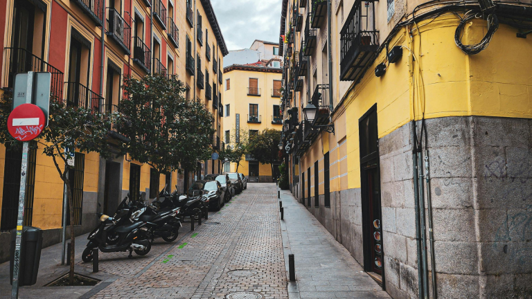 plagas urbanas en madrid